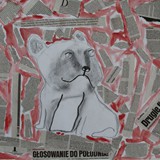 Zuzia Płóciennczak