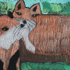 Nikola Świerczyńska