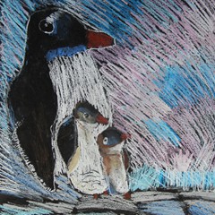 Michalina Jedlikowska