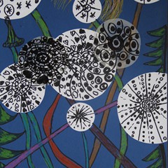 Emilia Banachowicz (16)