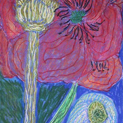 Emilia Banachowicz (6)