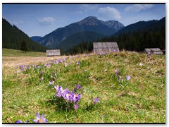 01tatry
