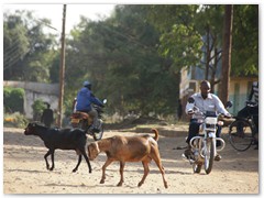 KATARZYNA SOBCZUK – „W SERCU UGANDY”