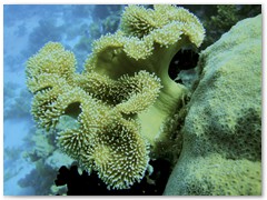 MACIEJ KOZŁOWSKI – „UNDERWATER”