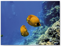 MACIEJ KOZŁOWSKI – „UNDERWATER”