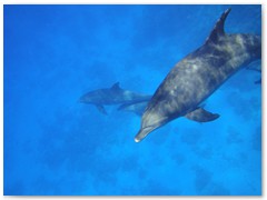 MACIEJ KOZŁOWSKI – „UNDERWATER”