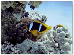 MACIEJ KOZŁOWSKI – „UNDERWATER”