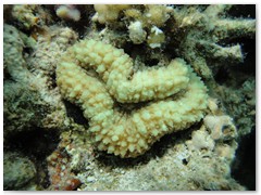 MACIEJ KOZŁOWSKI – „UNDERWATER”