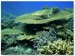 MACIEJ KOZŁOWSKI – „UNDERWATER”