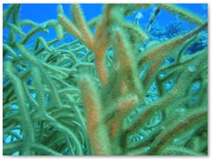 MACIEJ KOZŁOWSKI – „UNDERWATER”