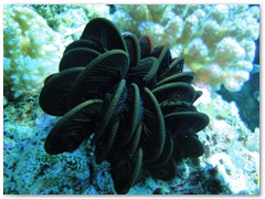 MACIEJ KOZŁOWSKI – „UNDERWATER”