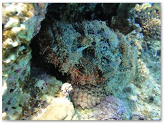 MACIEJ KOZŁOWSKI – „UNDERWATER”