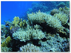 MACIEJ KOZŁOWSKI – „UNDERWATER”