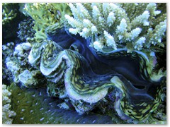 MACIEJ KOZŁOWSKI – „UNDERWATER”