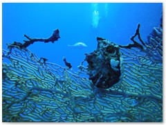 MACIEJ KOZŁOWSKI – „UNDERWATER”