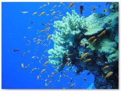 MACIEJ KOZŁOWSKI – „UNDERWATER”