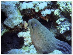 MACIEJ KOZŁOWSKI – „UNDERWATER”