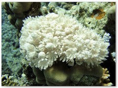 MACIEJ KOZŁOWSKI – „UNDERWATER”