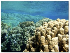 MACIEJ KOZŁOWSKI – „UNDERWATER”