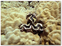 MACIEJ KOZŁOWSKI – „UNDERWATER”