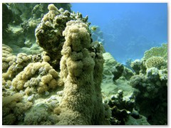 MACIEJ KOZŁOWSKI – „UNDERWATER”