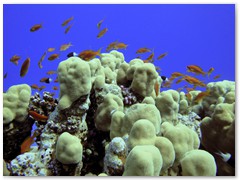 MACIEJ KOZŁOWSKI – „UNDERWATER”