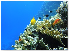 MACIEJ KOZŁOWSKI – „UNDERWATER”