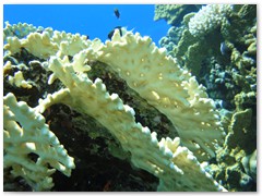 MACIEJ KOZŁOWSKI – „UNDERWATER”