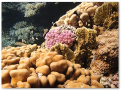 MACIEJ KOZŁOWSKI – „UNDERWATER”