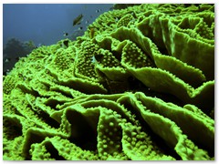 MACIEJ KOZŁOWSKI – „UNDERWATER”