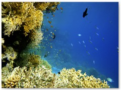 MACIEJ KOZŁOWSKI – „UNDERWATER”