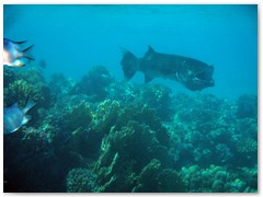 MACIEJ KOZŁOWSKI – „UNDERWATER”