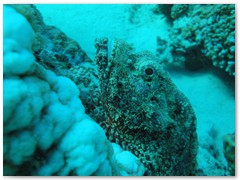 MACIEJ KOZŁOWSKI – „UNDERWATER”