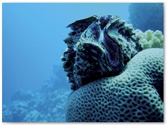 MACIEJ KOZŁOWSKI – „UNDERWATER”