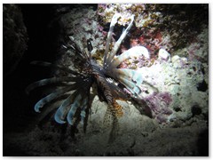 MACIEJ KOZŁOWSKI – „UNDERWATER”