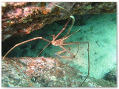 MACIEJ KOZŁOWSKI – „UNDERWATER”