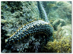 MACIEJ KOZŁOWSKI – „UNDERWATER”