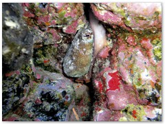 MACIEJ KOZŁOWSKI – „UNDERWATER”