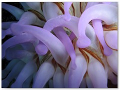 MACIEJ KOZŁOWSKI – „UNDERWATER”