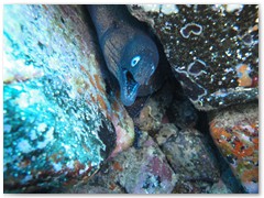 MACIEJ KOZŁOWSKI – „UNDERWATER”