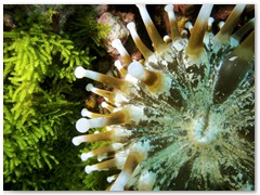 MACIEJ KOZŁOWSKI – „UNDERWATER”