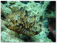 MACIEJ KOZŁOWSKI – „UNDERWATER”