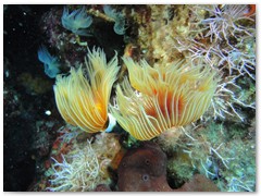 MACIEJ KOZŁOWSKI – „UNDERWATER”