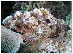 MACIEJ KOZŁOWSKI – „UNDERWATER”