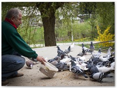 Jadwiga Mielczarek 10