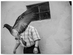 Jadwiga Mielczarek 2