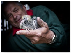 Jadwiga Mielczarek 6