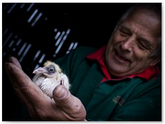 Jadwiga Mielczarek 8