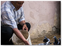 Jadwiga Mielczarek 9