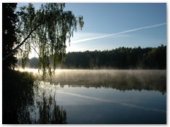 ANDRZEJ GRUSZCZYŃSKI 06 Mazuy